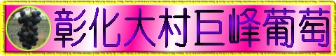 彰化大村葡萄,大村葡萄,0933-199989,大村巨峰葡萄,巨峰葡萄,葡萄,葡萄團購,大村葡萄果園,彰化大村巨峰葡萄,萄花園葡萄