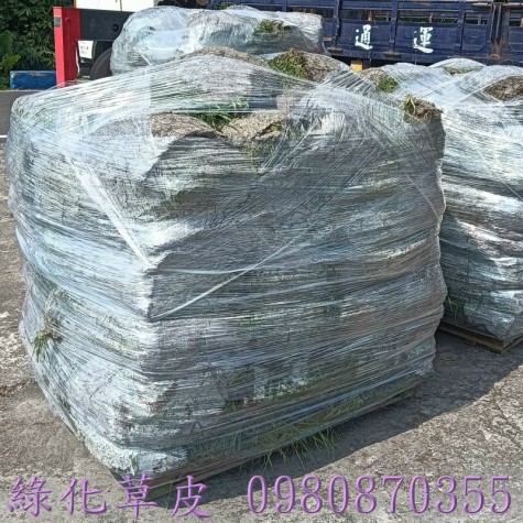 專業經營買賣:草皮、台北草、結縷草、巴西地毯草、蜈蚣草、類地毯草、百慕達草、假儉草、草皮種子,歡迎草皮批發買賣。